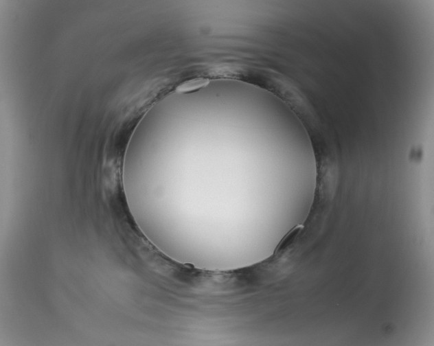 X0000113560329200910091421