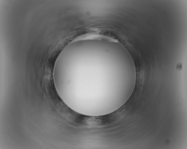 X0000113560331200910091421