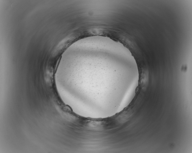X0000113560332200910091421