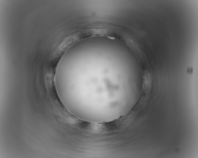 X0000113560333200910091421