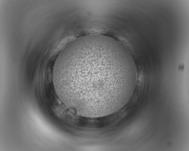 X0000113560334200910091421