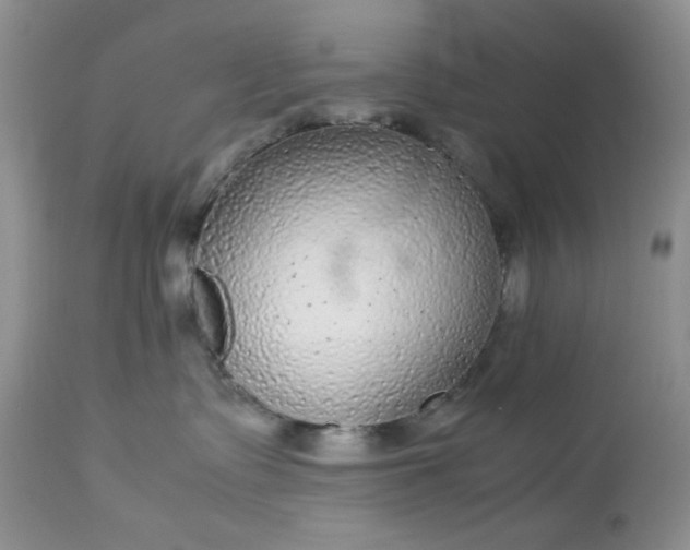 X0000113560335200910091421