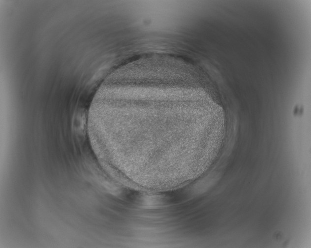 X0000113560336200910091421