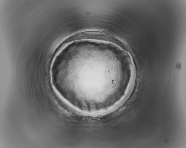 X0000113560337200910091420