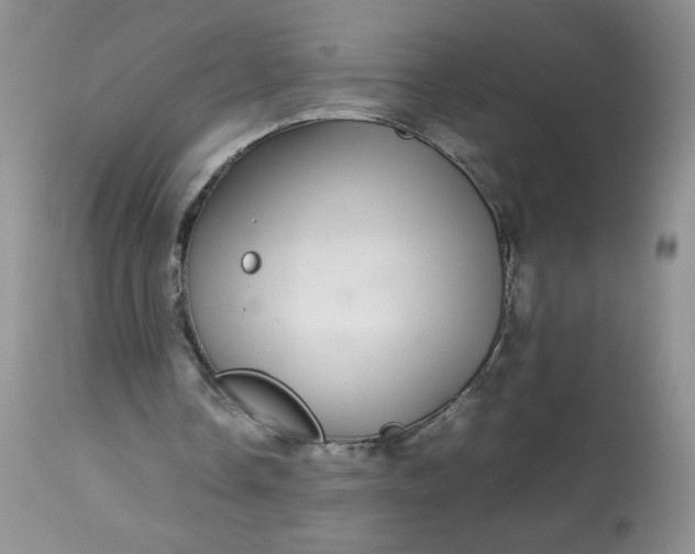 X0000113560338200910091420