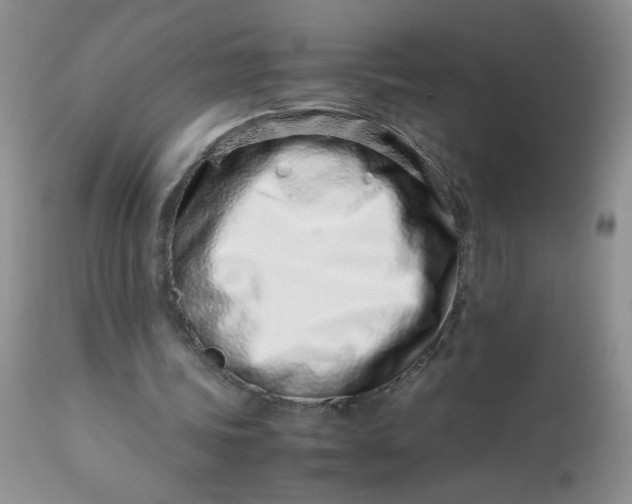 X0000113560339200910091420