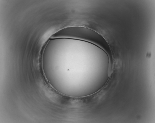 X0000113560340200910091420
