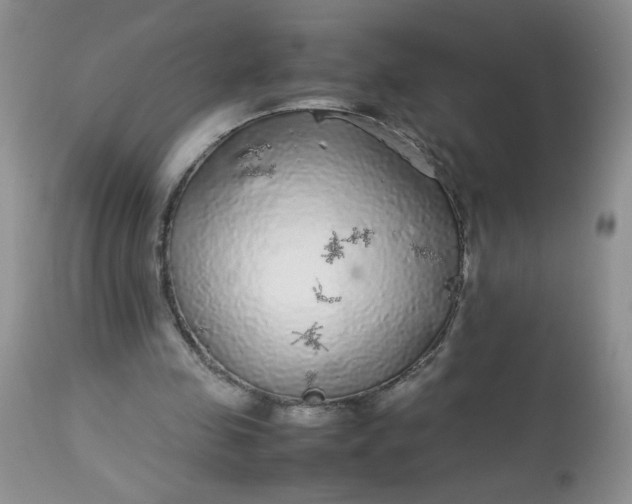 X0000113560341200910091420