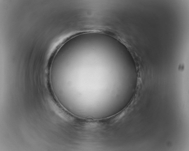 X0000113560342200910091420
