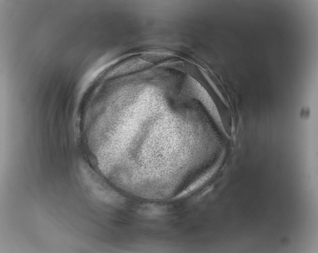 X0000113560343200910091420