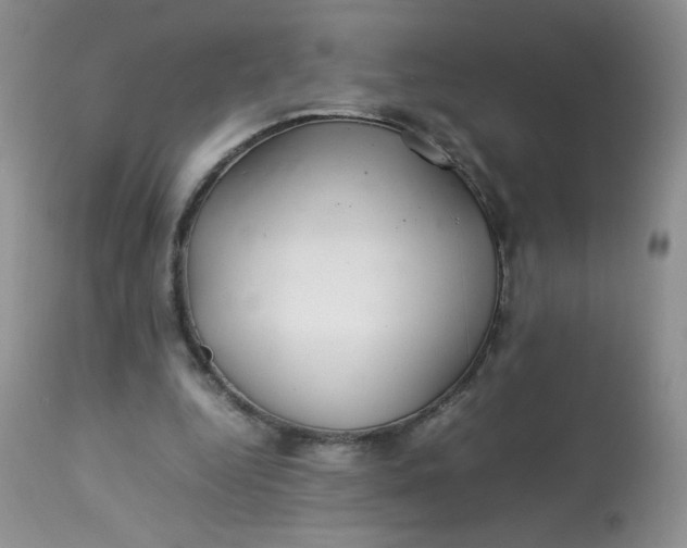 X0000113560344200910091420