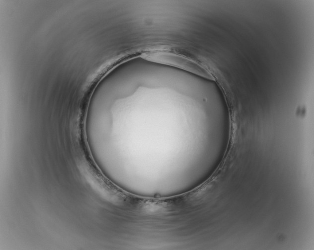 X0000113560346200910091420