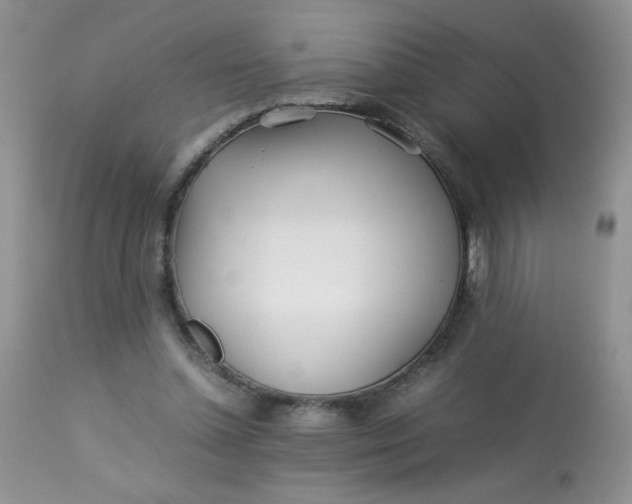 X0000113560348200910091420