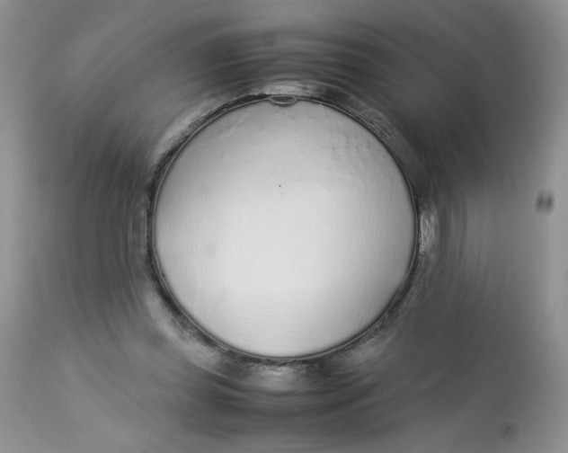 X0000113560349200910091420