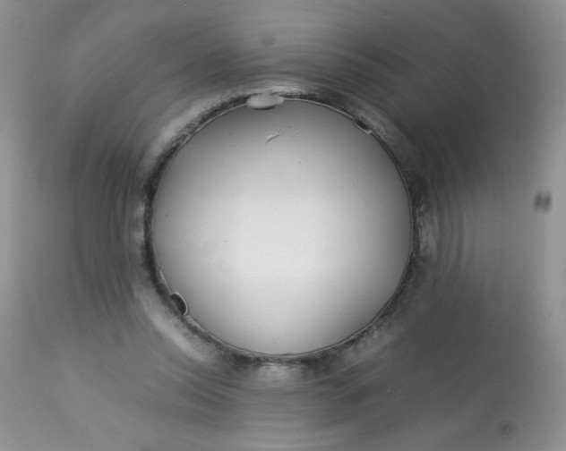 X0000113560350200910091420