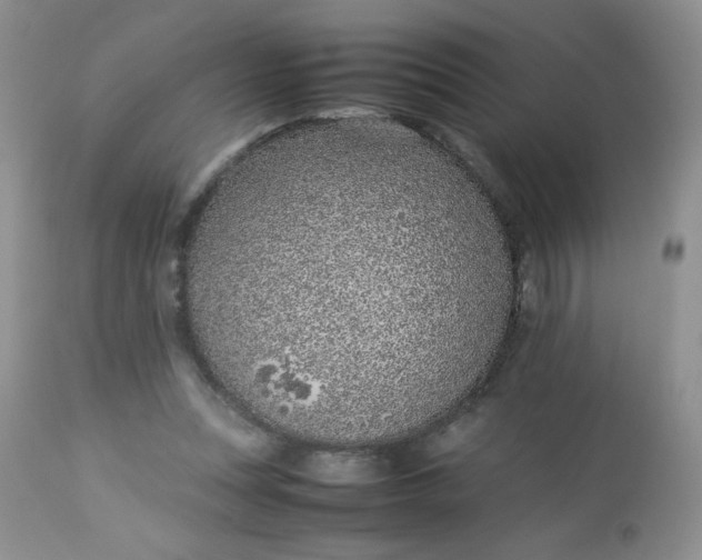 X0000113560351200910091420