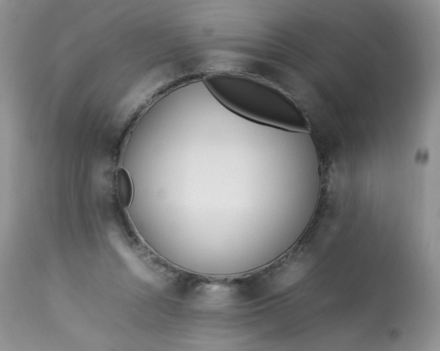 X0000113560352200910091420