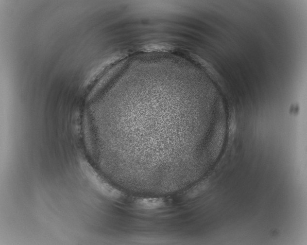 X0000113560353200910091420