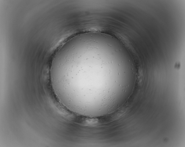 X0000113560355200910091420