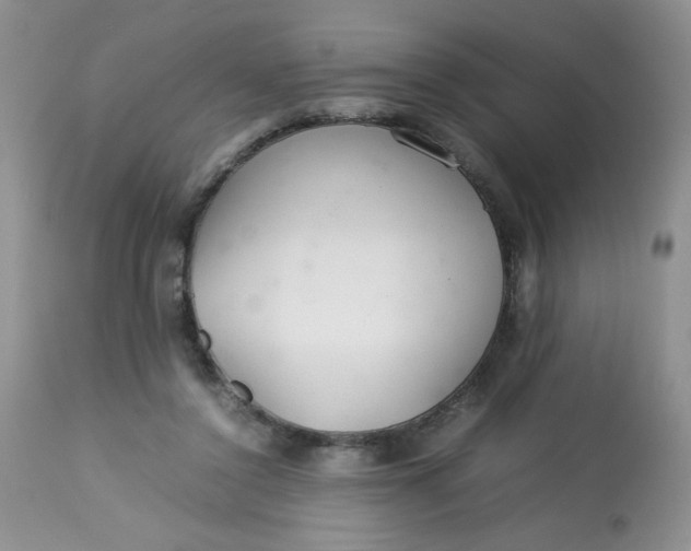 X0000113560356200910091420
