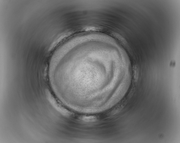 X0000113560357200910091420