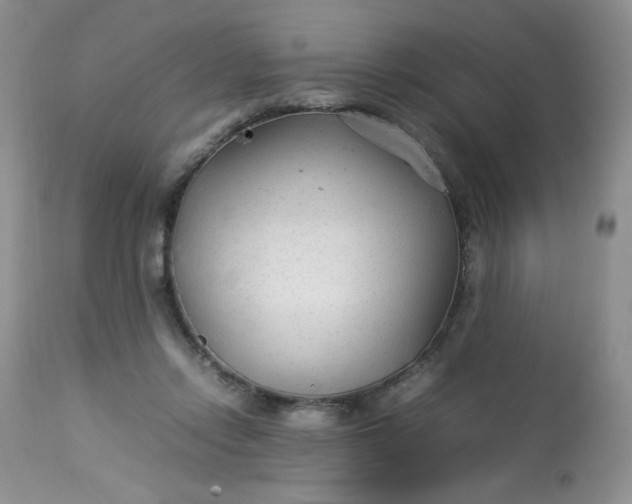 X0000113560358200910091420