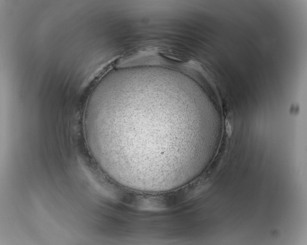 X0000113560359200910091420