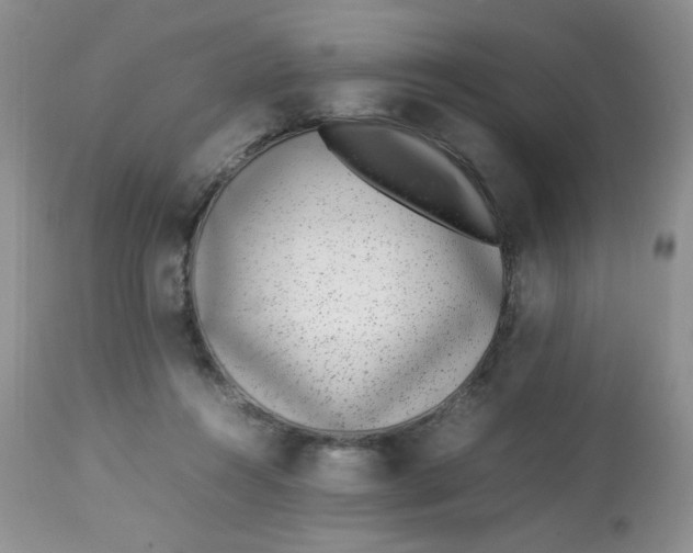 X0000113560360200910091420