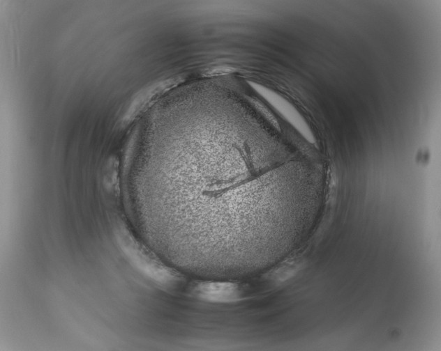 X0000113560361200910091420