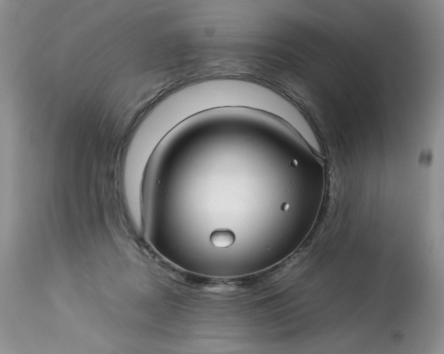 X0000113560362200910091420