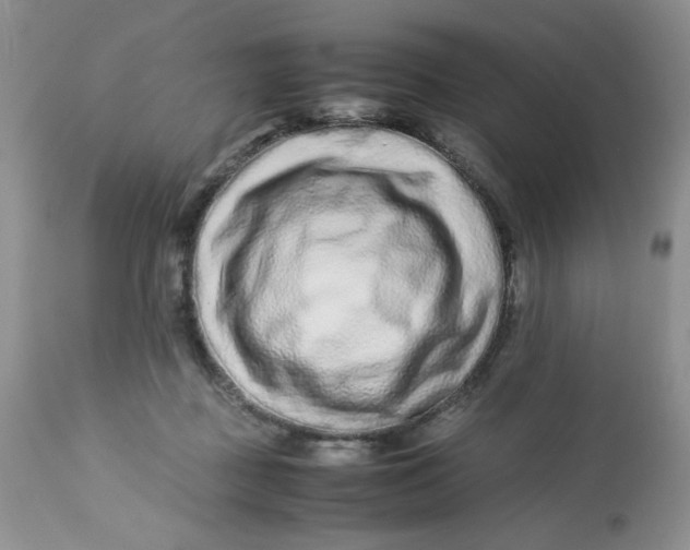 X0000113560363200910091420