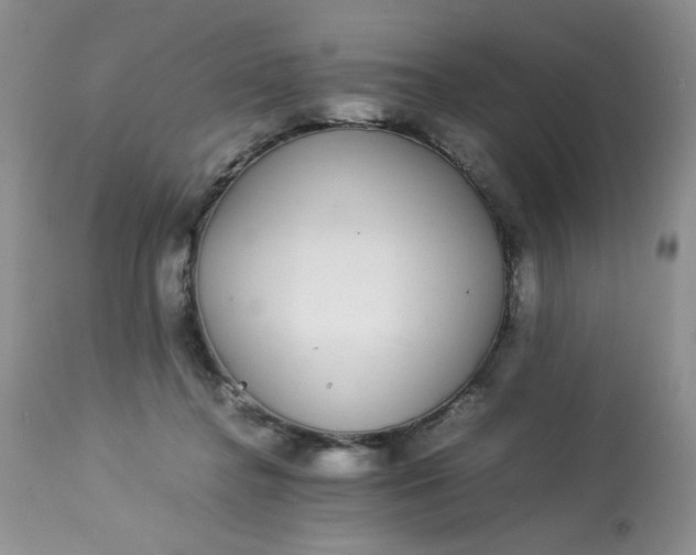 X0000113560364200910091420