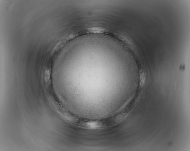 X0000113560365200910091420