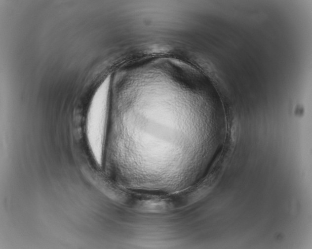 X0000113560366200910091420