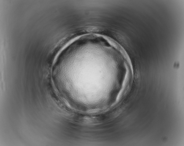 X0000113560367200910091420
