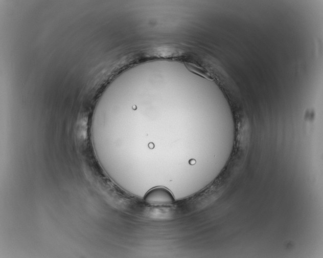 X0000113560368200910091420