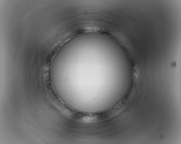X0000113560369200910091420