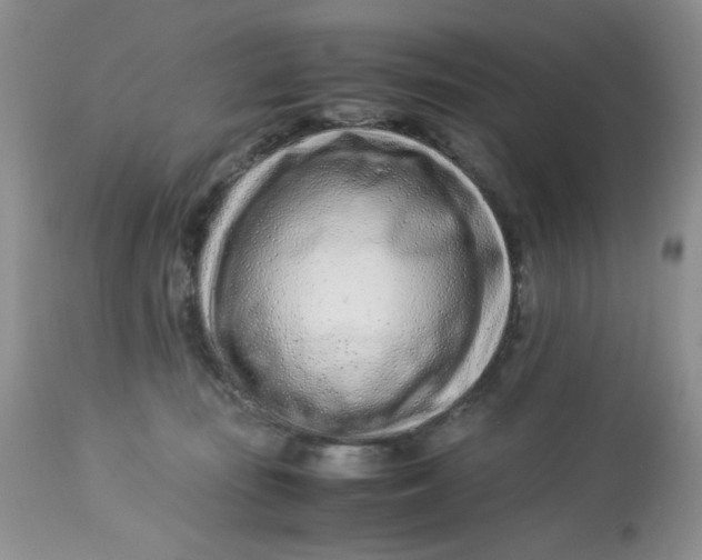 X0000113560371200910091420