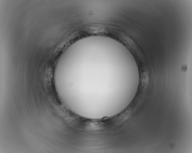 X0000113560372200910091420