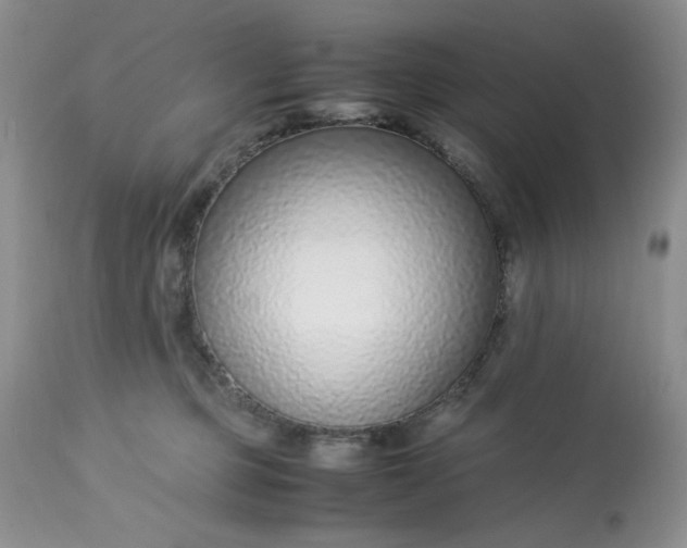 X0000113560373200910091420