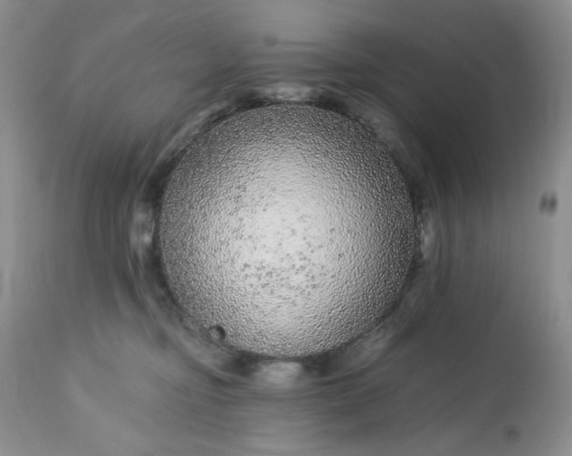 X0000113560374200910091420