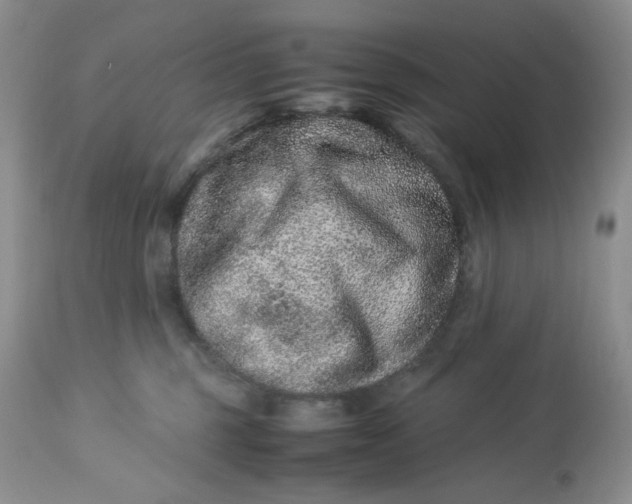X0000113560375200910091420
