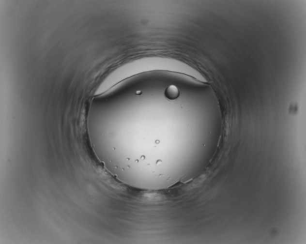 X0000113560376200910091420