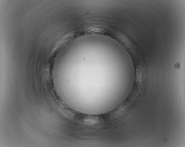 X0000113560377200910091420