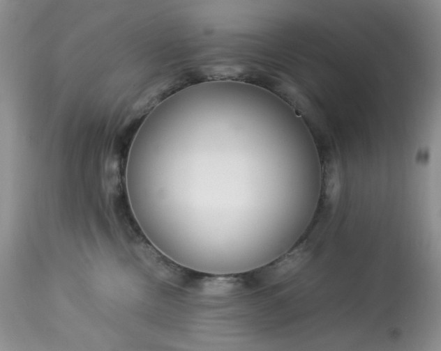 X0000113560378200910091420