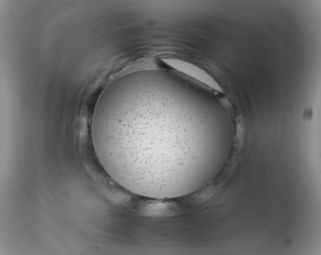 X0000113560379200910091420