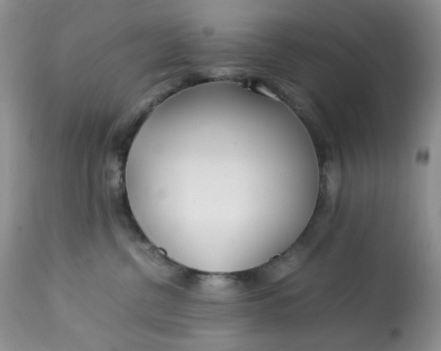 X0000113560380200910091420