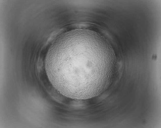 X0000113560381200910091420