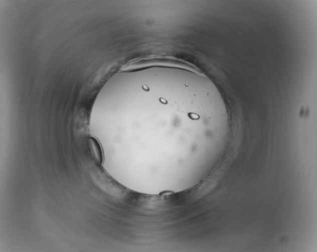 X0000113560384200910091421
