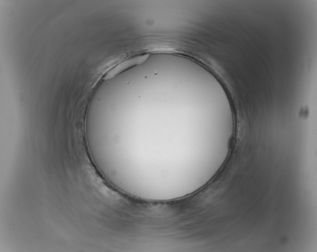 X0000113560385200910091420